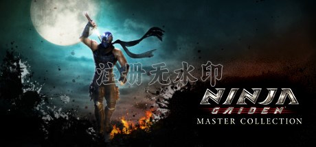 忍者龙剑传大师合集