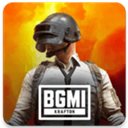 PUBG印度服